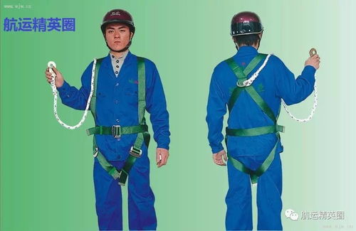 守衛生命之板 船員必備的安全綠籬防護技能解析